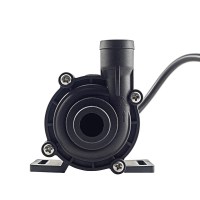 CWR2/97858DXL