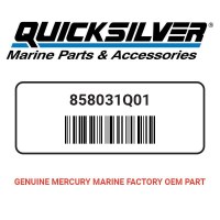 MarineWarehouse/858031Q01__93917.1722518513