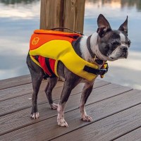 MarineWarehouse/H-O-23600183_sage-neo-dog-vest-Action__03875.1739477263